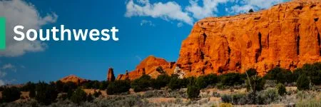 Southwest Dealers